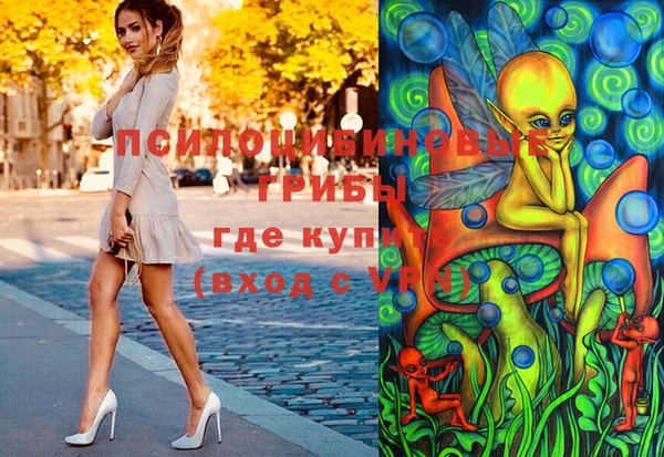 молекула духа Аркадак